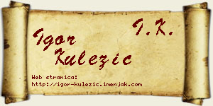 Igor Kulezić vizit kartica